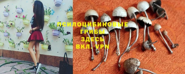 марихуана Лабытнанги