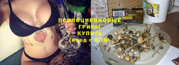 Альфа ПВП Бородино